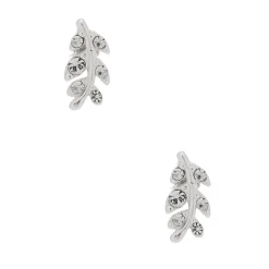 Clous d'oreille feuille en argent