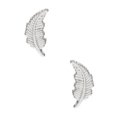 Clous d'oreilles feuille en argent