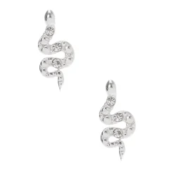 Clous d'oreilles serpents décorés en argent