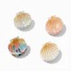 Iridescent Seashell Small Hair Claws - 4 Pack