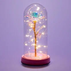 Lumière d'appoint rose sous un dôme